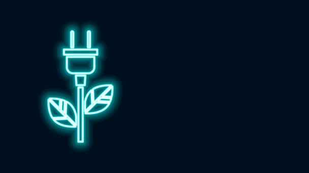 Świecąca neonowa linia Elektryczna wtyczka oszczędzająca w ikonie liści izolowana na czarnym tle. Oszczędzaj ikonę energii elektrycznej. Ikona ochrony środowiska. Energia biologiczna. 4K Animacja graficzna ruchu wideo - Materiał filmowy, wideo