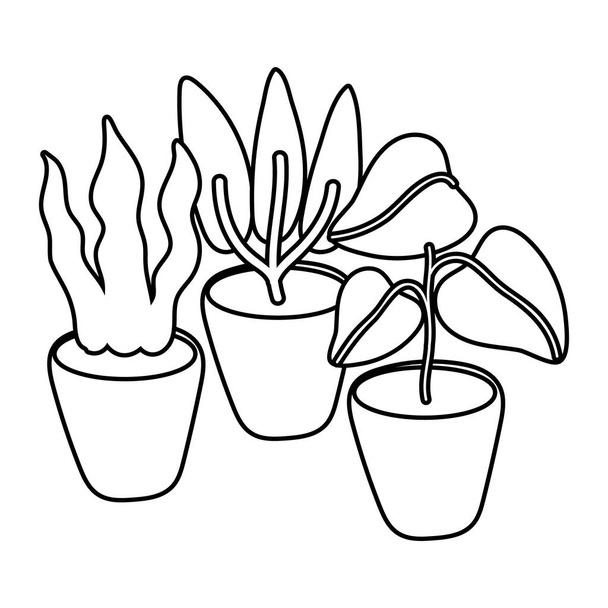 pokojové rostliny v keramických hrnců izolované ikony - Vektor, obrázek