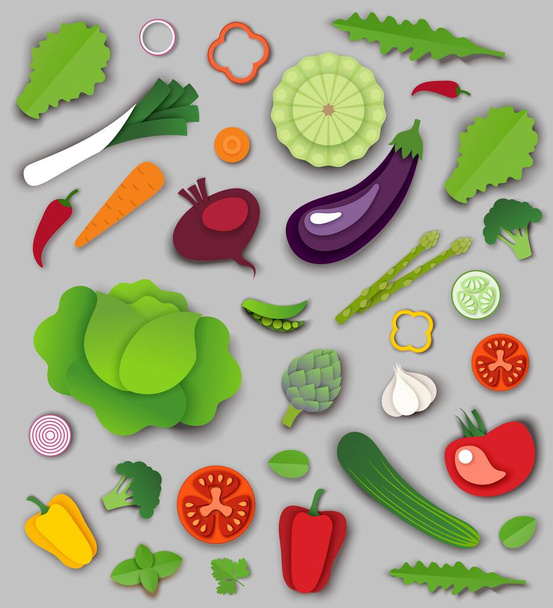 Vector paper cut craft style fresh vegetables and greens. - Vector, Imagen