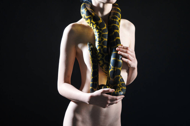 Afbeelding van jong meisje topless met gele anakonda op zwarte achtergrond - Foto, afbeelding