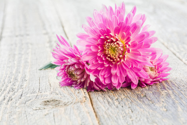Hermosas flores de crisantemo rosa sobre un fondo de madera - Foto, Imagen