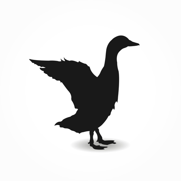 Form contour goose, duck, drake poster - Vettoriali, immagini