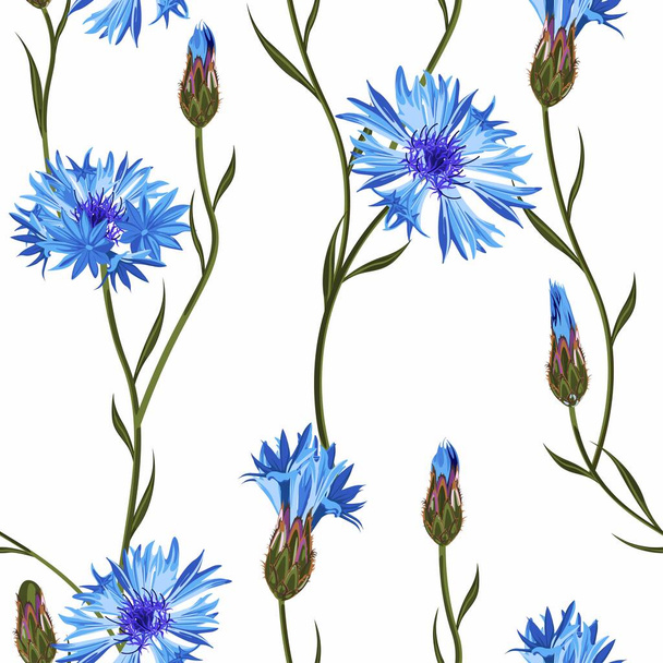 Cornflower floral seamless pattern on a white background.  - Vector, Image