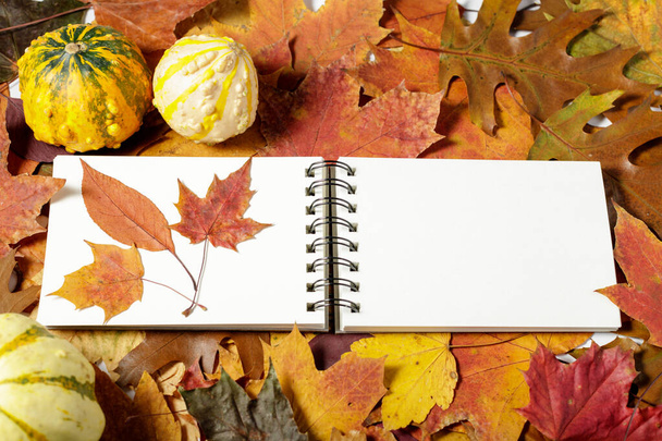 Thanksgiving card. Open notebook, pumpkin over autumn fallen leaves. Copy space for text - Фото, изображение
