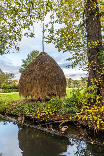 Haystack em um prado perto da água, típico na região de floresta de spree, Alemanha, cores outonais. Foto stock vertical. - Foto, Imagem