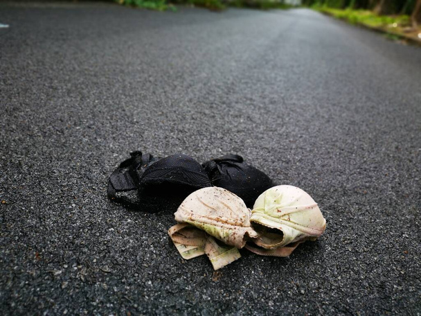 dirty wet bras thrown on the tarmac street, - Photo, Image