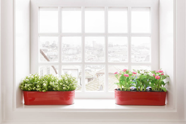 Βάσεις λουλουδιών στο Windowsill - Φωτογραφία, εικόνα