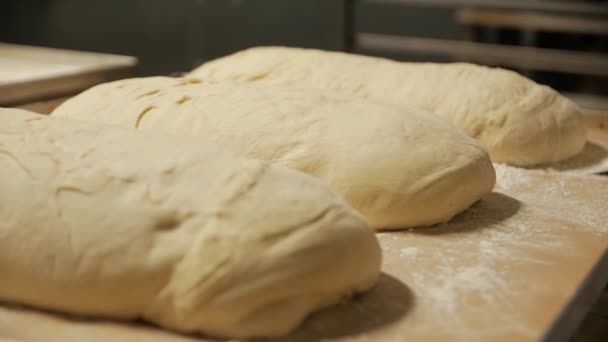 Masa de pan crudo - Imágenes, Vídeo
