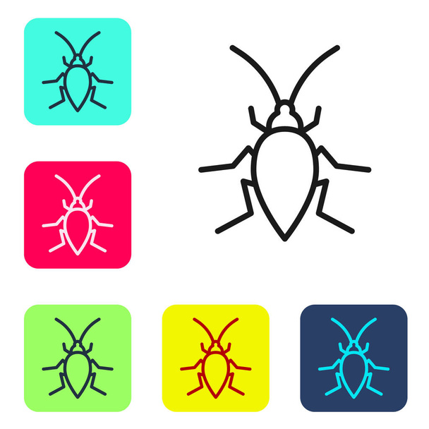 Linea nera Icona scarafaggio isolata su sfondo bianco. Imposta le icone nei pulsanti quadrati a colori. Vettore. - Vettoriali, immagini