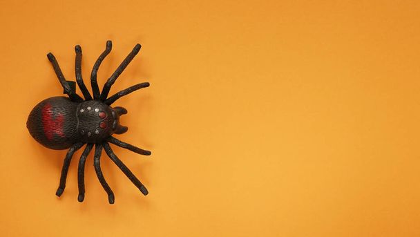 オレンジ色の背景に黒い時計型プラスチック製のおもちゃのクモを閉じます。死者の日を祝うことをコンセプトに、ハロウィン。トップビュー、フラットレイ、コピースペース. - 写真・画像
