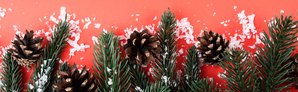 Szyszki sosnowe z gałązkami jodły i sztucznym śniegiem, koncepcja nowego roku, sztandar - Zdjęcie, obraz