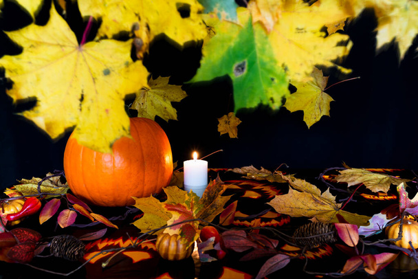 Světlá podzimní kompozice s dekorativní dýní, svíčkou. Javorové listy na tmavém pozadí. Halloween nebo Thanksgiving Card koncept - Fotografie, Obrázek