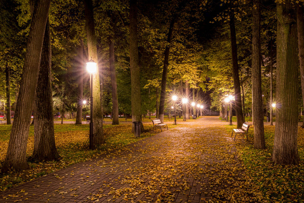 Parc d'automne nocturne avec des feuilles jaunes tombées sur le trottoir et des bancs en automne doré, illuminé par des lanternes. - Photo, image