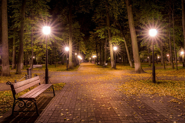 Nocny jesienny park z opadłymi żółtymi liśćmi na chodniku i ławeczkami w złotym sezonie jesiennym, oświetlony latarniami. - Zdjęcie, obraz