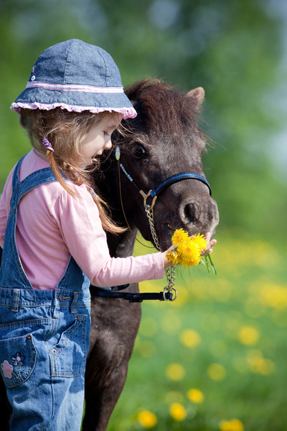 Enfant avec pissenlit et cheval
 - Photo, image