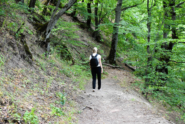 person walks in a green forest in nature in summer. hiking in the fresh air for health. - Photo, Image