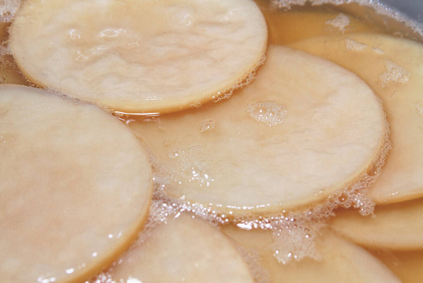 Close-up fresh scoby (symbiotic culture of bacteria and yeast) kombucha image  - Photo, Image