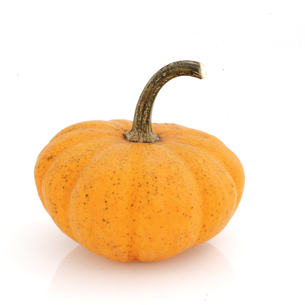 Fancy Pumpkin - Foto, Bild