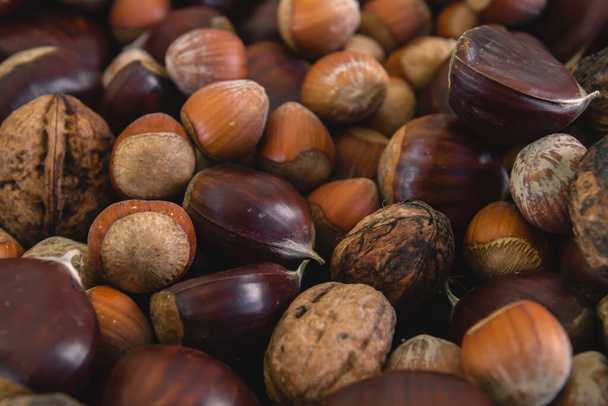 Mix of nuts close up - Фото, изображение