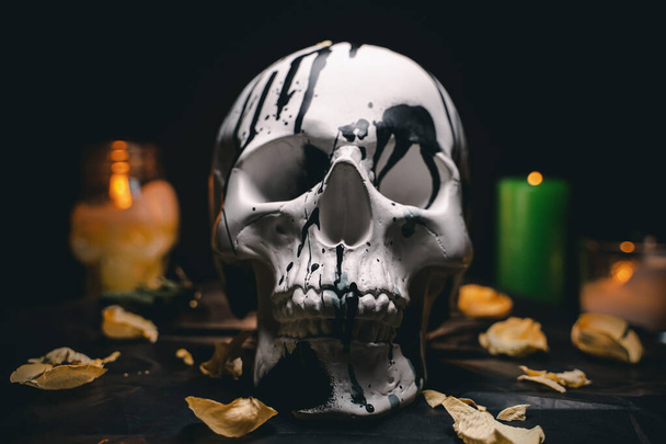 Decorative white human skull in a mysterious setting - Foto, Imagem