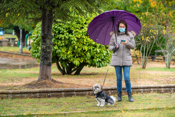 Женщина с зонтиком гуляет в парке со своей собакой в дождевых клещах, глядя на телефон - Фото, изображение