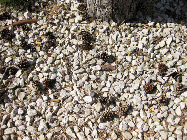 Stones and pebbles background. - Photo, Image