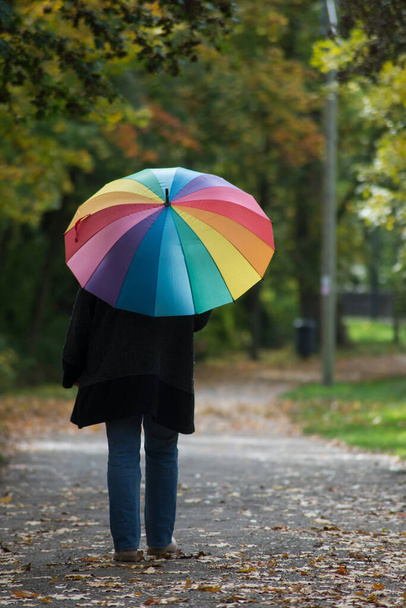 Portrait on back view of woman walking with a rainbow umbrella in the autumnal urban park - Фото, изображение