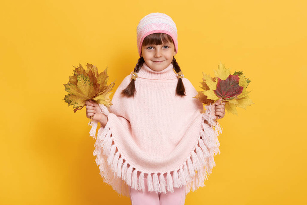 Happy smiling little girl wearing cap looking directly at camera with cute smile, holding bouquets with autumn leaves in both hands, stands against yellow background. - Valokuva, kuva