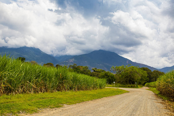 Неасфальтированная сельская дорога, поле сахарных тростников и горы Парамо-де-лас-Эрбенас в регионе Ведель-Каука в Колумбии - Фото, изображение