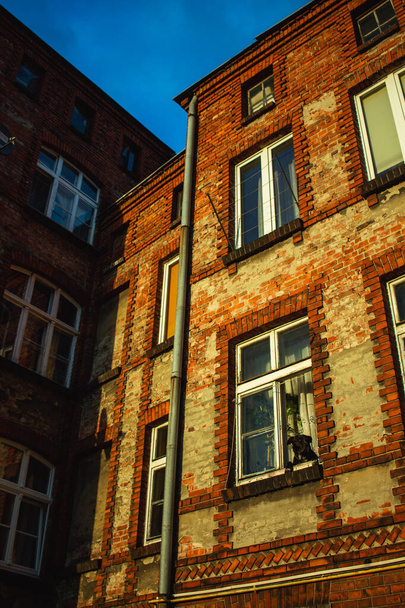 architecture dans la ville colorée de gdansk - Photo, image