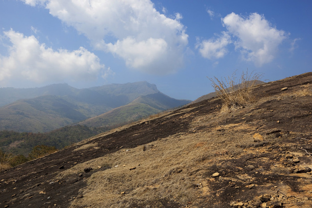 nilgiri hills landscape - Foto, Bild