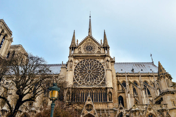 Популярна міська пам'ятка в Парижі, вид готичного собору Нотр-Дам - Фото, зображення