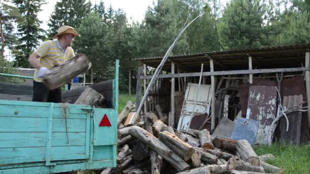 άνθρωπος ξεφορτώσουν ξύλο woodshed - Πλάνα, βίντεο