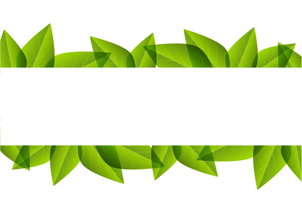 Green leaves - Vector, Imagen