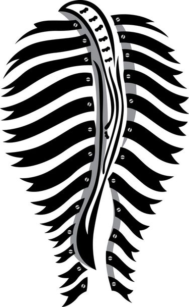 Zebra bunda
 - Vetor, Imagem