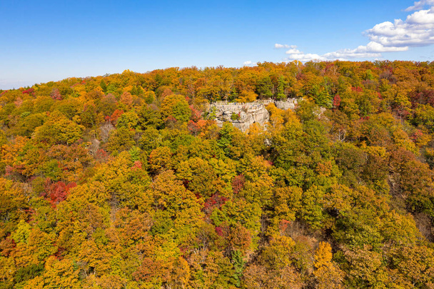 Coopers Rock State Park kijkt uit over de Cheat River in West Virginia met herfstkleuren - Foto, afbeelding