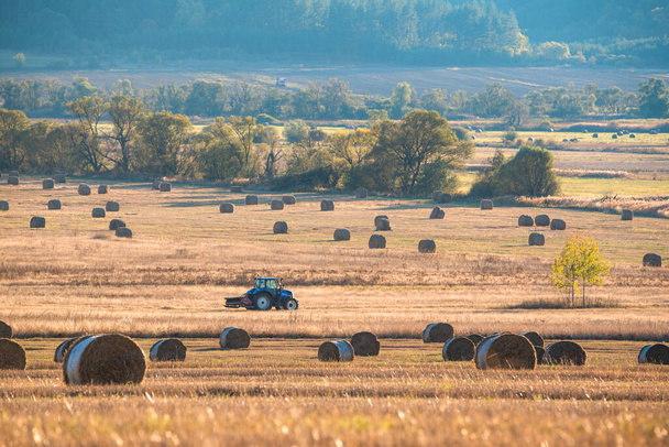 Traktor gyűjtése szalma bálák nap bolgár gazdálkodás mezőgazdaság minimális gép arany széna kis zoom távoli munka másolási hely szöveges kék éles fókusz - Fotó, kép