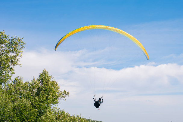 青い空を背景に木の近くを飛ぶカラフルなパラグライダー。極端なスポーツ. - 写真・画像