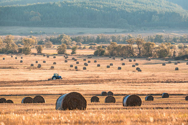 Traktor gyűjtése szalma bálák nap bolgár gazdálkodás mezőgazdaság minimális gép arany széna kis zoom távoli munka másolási hely szöveges kék éles fókusz - Fotó, kép