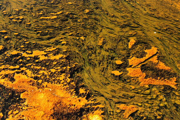 ワイオミング州イエローストーン国立公園のビスケット盆地にある緑と黄色のサーモパイルの上を流れる温泉水 - 写真・画像