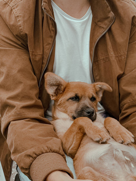 A vertical closeup shot of a male holding a cute brown puppy - Fotoğraf, Görsel