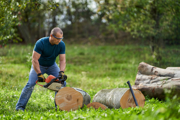 Lumberjack cutting beech logs with the chainsaw - Foto, imagen