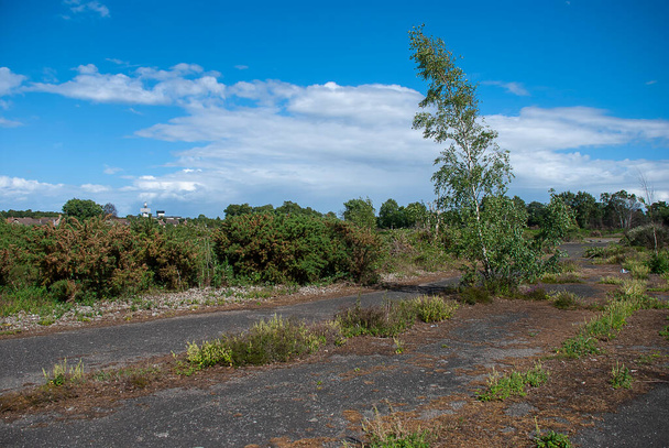 I resti troppo cresciuti di un fuggitivo di una vecchia base aerea nel Suffolk, Regno Unito - Foto, immagini