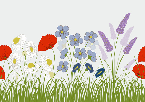 Seamless pattern with wild flowers  - Vector, imagen