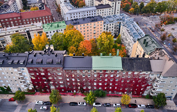 Aerial view of the old apartment building. The red Virginia creeper on the building wall. The autumn cityscape, Helsinki, Finland. - Photo, Image