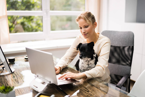 Business Women Working On Laptop Computer With Dog - Fotoğraf, Görsel