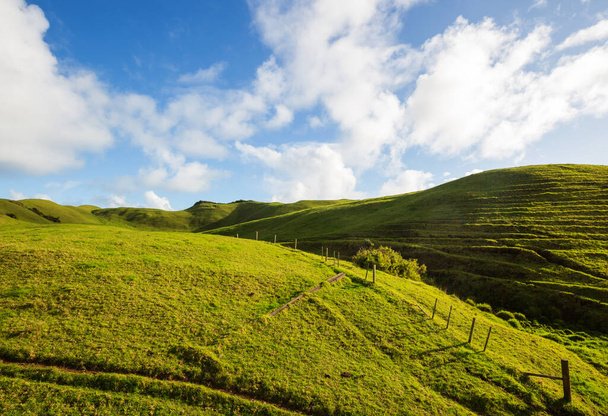 Gündoğumunda Yeni Zelanda 'nın güzel kırsal manzarası - Fotoğraf, Görsel