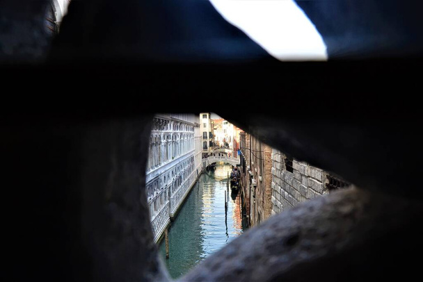 Venedig (Βενετία) Θέα στην πόλη κατά την ηλιόλουστη μέρα. Υπέροχη πόλη των γόνδολων, αρχαία σπίτια, παλιές γέφυρες, πράσινο νερό και κανάλια, πουλιά, γλάροι. Όλα αυτά είναι στη Βενετία της Ιταλίας.. - Φωτογραφία, εικόνα