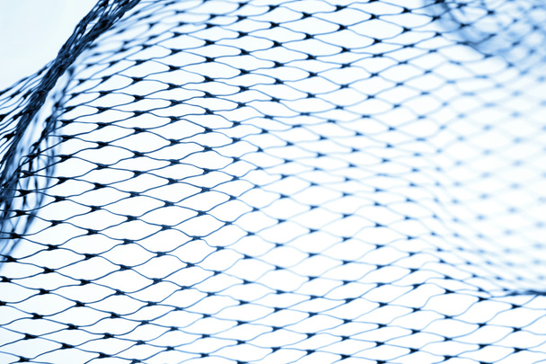 Fishnet Free Stock Photos, Images, and Pictures of Fishnet