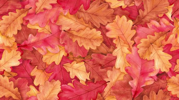 Watercolor autumn seamless background with  oak leaves. Hand drawn illustration isolated on white. - Photo, Image